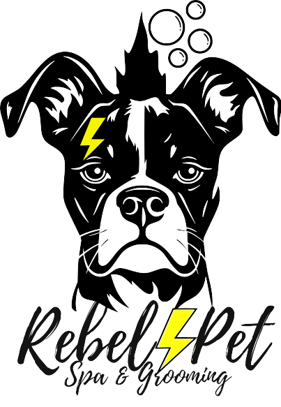 Rebel Pet – Grooming and Spa Algarve